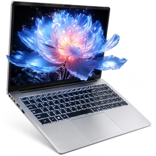 WISESWAN Windows 11 Laptop I3 Computer