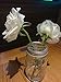 Shiny Metal Flower Frog Lid Insert for Transform Mason, Ball, Canning Jars, 6-pack (Regular Mouth)