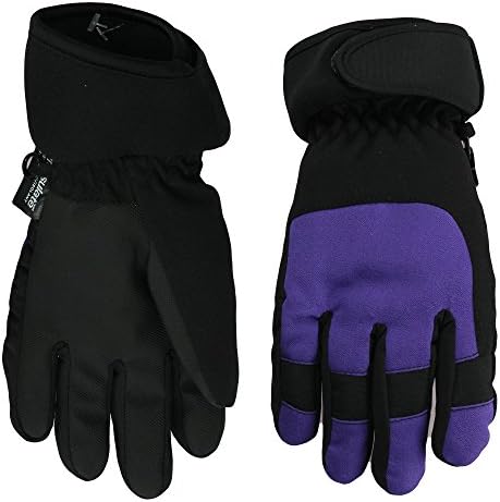 Nolan Girls Thinsulate Waterproof Colorblock Ski Gloves Purple Small-Med