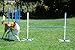 Triple A Dogs Combo 1 Dog Agility Jump/6 Dog Agility Weave Poles Buy Combo and Save, Dog Training, Dog Jumps, Dog Hurdles, Agility Equipment,