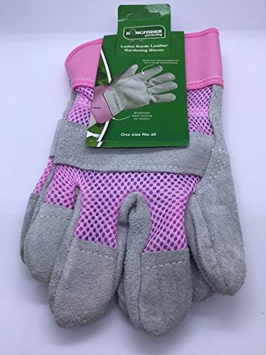 Kingfisher Ladies Suede Rigger Gloves