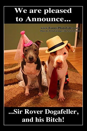 SIR DOGAFELLER, 1 Large (4x6 inches) Funny Photo Fridge Magnet, Refrigerator Humorous Meme Decorative Magnetic Sign Plaque, Print. Pet Pit Bulls Couple in Dog Costumes.