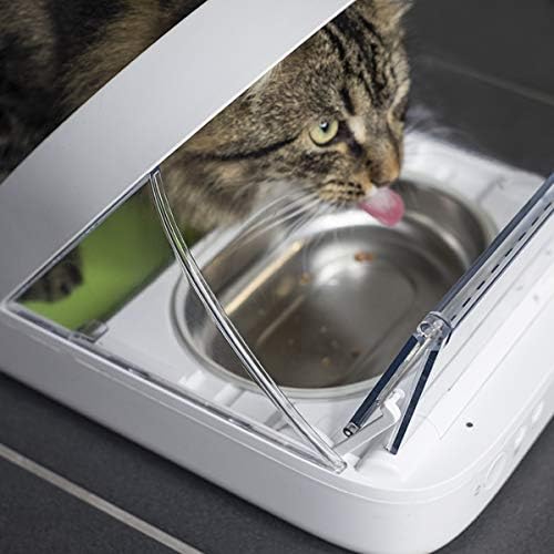Amazon Com Sure Petcare Sureflap Surefeed Microchip Pet