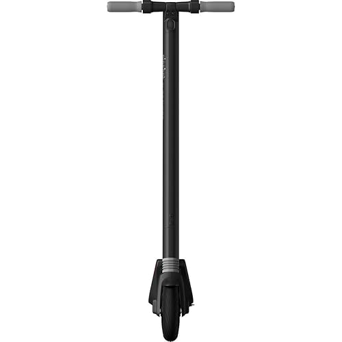 Segway Ninebot ES2 Folding Electric Kick Scooter, Silver (2018