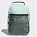 adidas unisex-adult Santiago Insulated Lunch Bag, Clear Mint Green/Black/White, One Size
