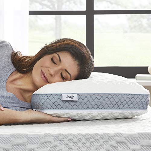 Sealy Hybrid Bed in a Box 12 Inch, Medium Feel, Queen Size