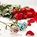 DeFaith Real Rose 24K Gold Dipped, Forever Gifts for Her Valentines Day Anniversary Wedding and Proposal, Attractive Luster and Natural Shape - Teal Blue with Moon Stand