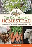 The Do It Yourself Homestead: Build your self-sufficient lifestyle one level at a time by Tessa Zundel