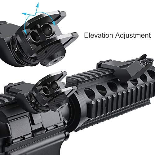 45 Degree Front and Rear Backup Iron Sights Rapid Transition Backup