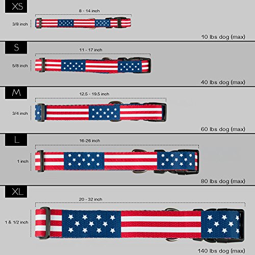 American Flag Dog Collar in 5 different sizes (Medium)