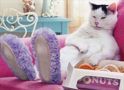 GBCC Funny Birthday or All-Occasion Card - Amusing Cat Chilling on Sofa Design - Blank Inside - For Women - Animal Greeting Card