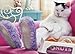 Cat Wearing Slippers Funny Just for Fun Card