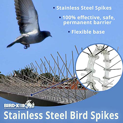 BirdX STS50 Regular Width 6inch Stainless Steel Bird Spikes, Metal