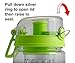 FreshTek Leak Proof Fruit Infuser Water Bottle, Large 32 Oz