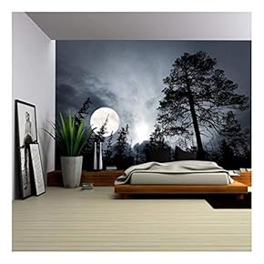 Abstract of Brown Lotus for Background Used - Removable Wall Mural | Self-Adhesive Large Wallpaper - 66x96 inches