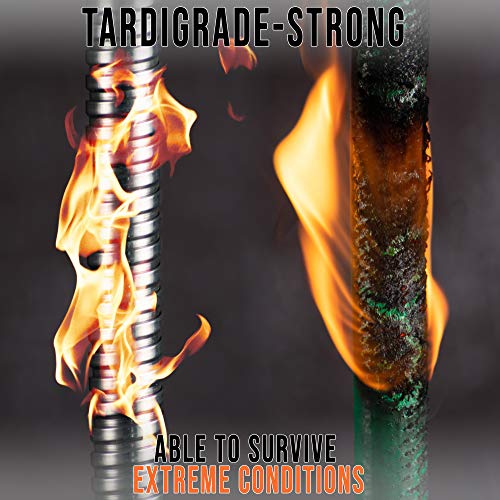 Tardigrade Steel Hose - 50FT Metal Garden Hose - Stainless Steel - Dog Chew Crush Proof, Flexible, Heavy Duty Aluminum… - Image 2