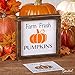 Give Thanks, Farm Fresh Pumpkins, Hello Fall Stencil Set | Reusable Sign Stencils for Painting on Wood | 3 Pack | Ideal for Wood Signs, Walls, Furniture (DIY Fall Home Decor)