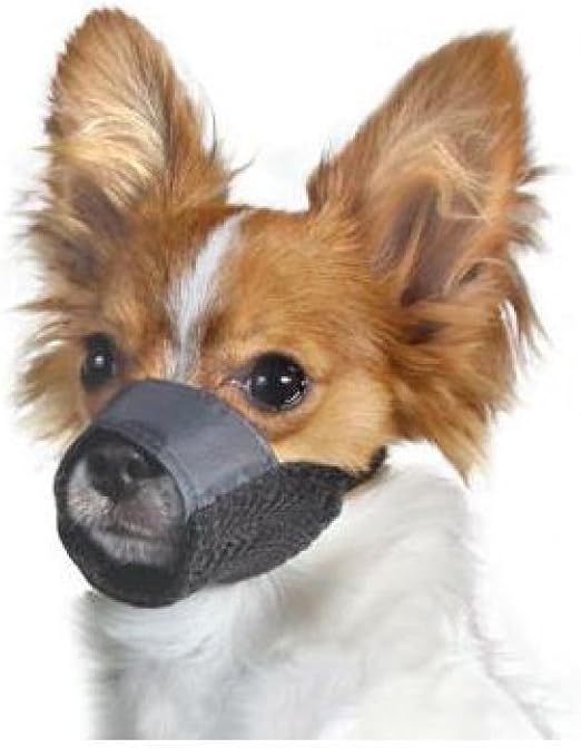 dog muzzle for grooming