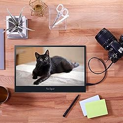 AOPEN Portable Monitor 16PG7QT Pbmiuuzx 15.6-inch