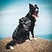 OneTigris MAD Hound Rugged K9 Vest Harness for Medium & Large Dog (Black, Medium)