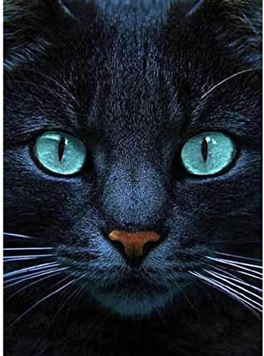 DIY Handwork Store 5D Full Drill Diamond Paintings Crystal Kits Green-Eyed Long Beard Cat Animal Oil Painting Cross Stitch Mosaic Pattern DIY Handmade Embroidery Wall Decor(17.72''x 23.23'')