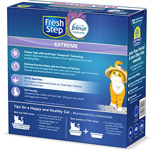 fresh step mediterranean lavender