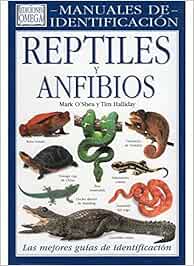 REPTILES Y ANFIBIOS.MANUAL IDENTIFICACION GUIAS DEL NATURALISTA-REPTILES - ANFIBIOS-TERRARIOS: Amazon.es: OSHEA, MARK y HALLIDAY, TIM: Libros