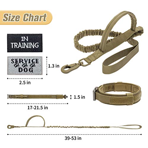 training collar and leash