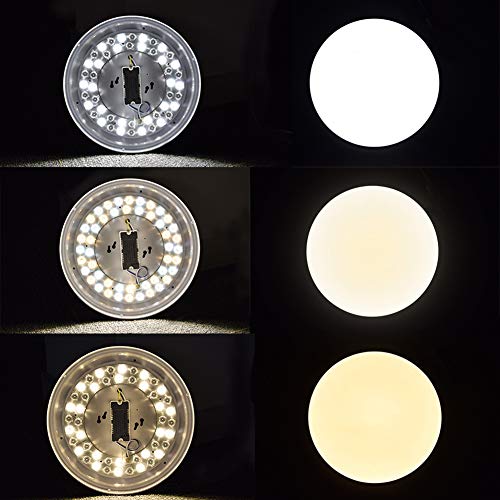 1 W+LITE+Flushmount+Remote+13+3000K+6000K+Changeable