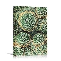 Canvas Wall Art Green Succulents Colorful Farmhouse/Country Floral Multicolor Patterns Photography - 12x18 inches