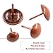 Hilitchi 280-Pieces [4-Size] Tacks Bronze Nail Pins Upholstery Nail Tacks Furniture Thumb Tack Pins Assortment Kit - Size Include: 7/16'' 9/16'' 5/8'' 3/4'' (Red Copper)