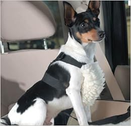 pinkaholic dog harness