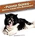 Qchefs Power Series Hard Cheese & Buckwheat Dental Dog Treat (4 Pack), 3 Oz