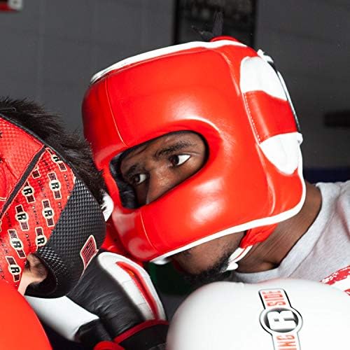 bauer nexus n2700 stick