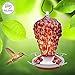 Best Home Products Hummingbird Feeder BLOWN GLASS, Wild Raspberry, 16 ounces