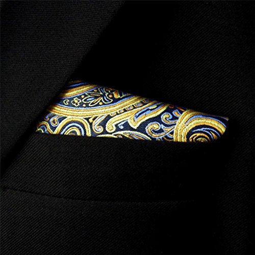 Shlax&Wing Paisley Blue Yellow Pink Pocket Square Mens Hankies Hanky
