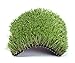 New 15' Foot Roll Artificial Grass Turf Synthetic Fescue Pet Sale! Many Sizes! (2 Turf Samples 12'' x 12'')