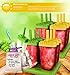 Lebice Popsicle Molds 12-Piece Set - BPA Free - Ice Pop Makers + 2 Silicone Funnels + 2 Cleaning Brushes.