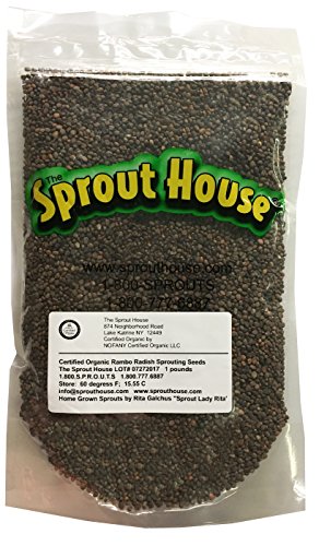 The Sprout House Certified Organic Non-gmo Rambo Radish Sprouting Seeds 1 LB