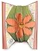 ArtFolds: Flower: The Meaning of Flowers (4) (ArtFolds Color Editions) by