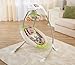 Fisher-Price Deluxe Cradle 'n Swing, Rainforest Friends