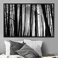 Framed Canvas Wall Art Rustic Woods Brown Dark Dramatic Forest Group Nature Photography Realism - 16x24 inches