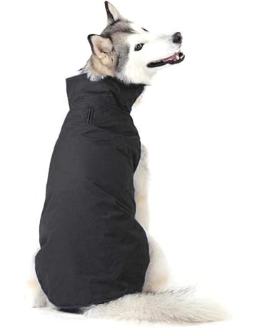 Amazonfr Manteaux Imperméables Pour Chiens