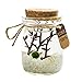 OMEM Aegagropila linnaei Moss Balls Glass Aquarium Kit (White)