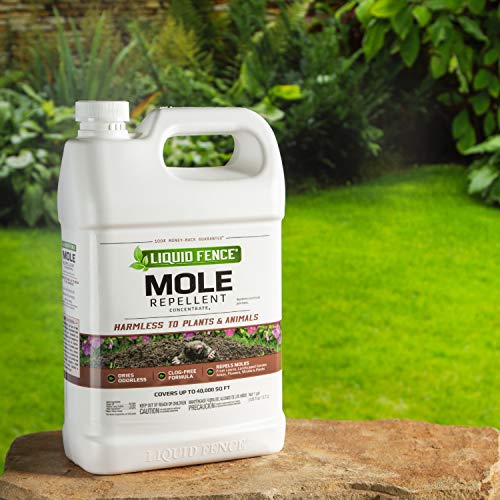 Liquid Fence 70167 HG70167 Mole Repellent Concentrate, 1Gallon eBay