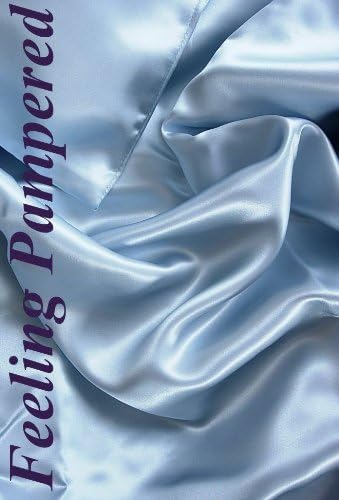 4 Pc 100% Mulberry Silk Charmeuse Sheet Set Full Size Soft Blue Color Half of Retail