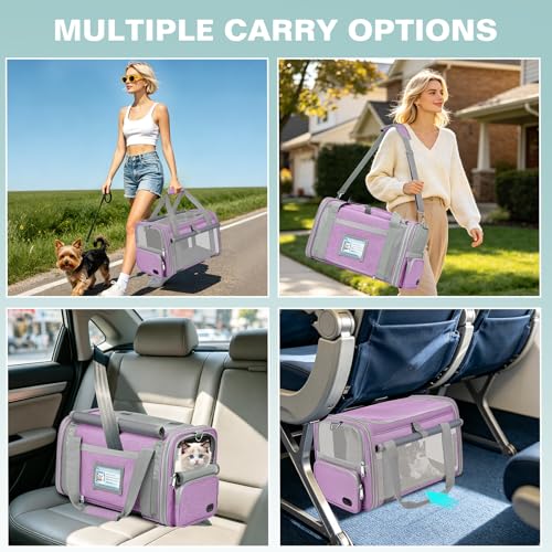 BTNEEU Foldable Cat Carrier Carrier Small Dog Carrier Airline Approved Breathable Carrier Bag with Inner Strap, Washable Soft Cushion and Adjustable Shoulder Strap (Purple)