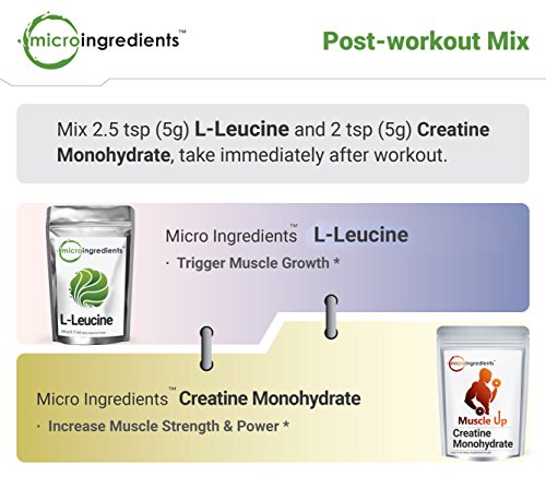 Micro Ingredients Plant-Based L-Leucine Powder, 500 grams (1.1 lb)