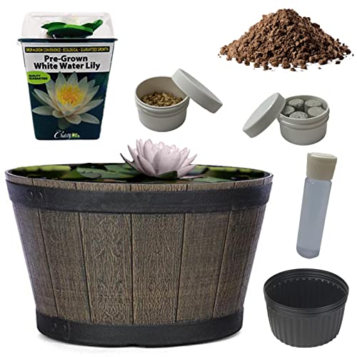 Joe's Patio Pond Complete Kit Includes Everything Live Aquatic Hardy