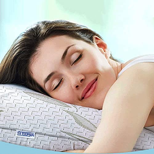 Sleepsia Supersoft Bamboo Queen Pillow Protectors (2 Pack 20"x28") Waterproof Pillow Case